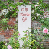 et in arcadia square